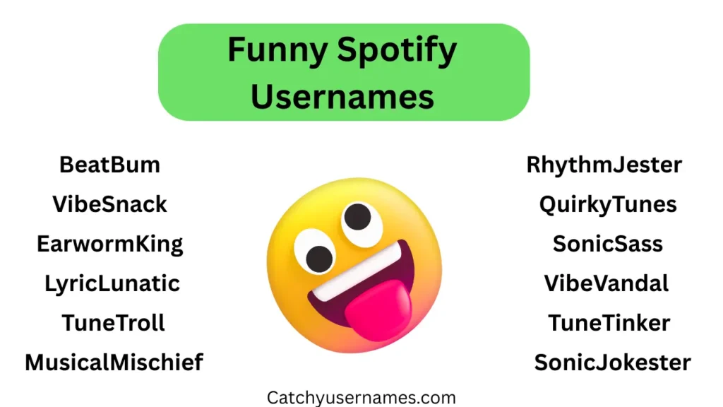 Funny Spotify Usernames