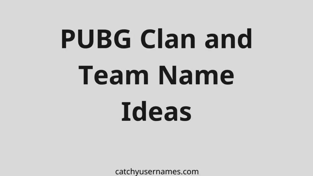 PUBG Clan and Team Name Ideas