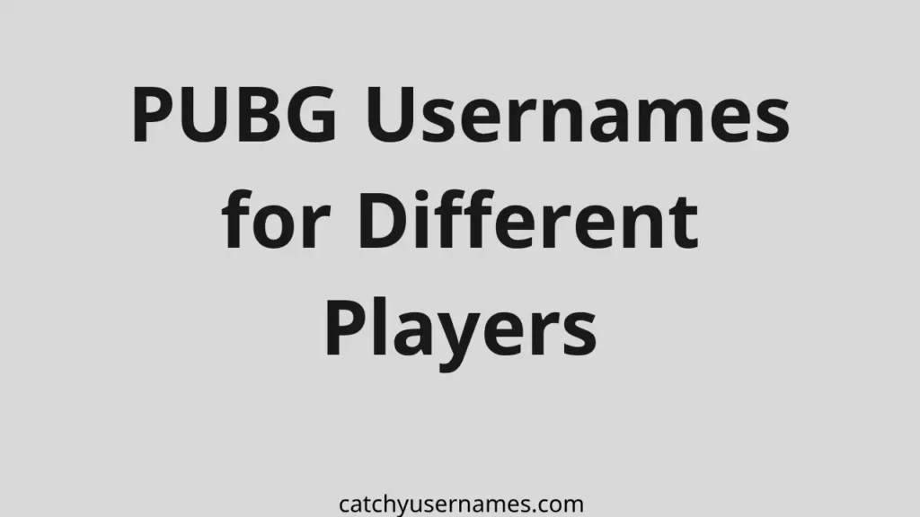 PUBG Usernames for Different Players